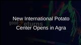 International Potato Center Establishes New Branch in Agra to Boost Potato Production