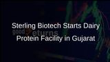 Sterling Biotech Commences Construction of World's First Fermentation-Based Dairy Protein Facility in Gujarat