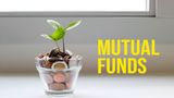 Equity Mutual Funds Increase Cash Reserves – Should Investors Be Concerned?