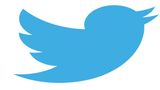 Twitter's Iconic Blue Bird Logo Sells at Auction for a Jaw-Dropping Price- Check Price It Sold For
