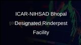 FAO Recognises ICAR-NIHSAD Bhopal as Category A Rinderpest Holding Facility