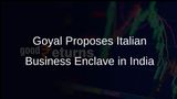 Piyush Goyal Proposes Development of Industrial Enclave for Italian Businesses in India