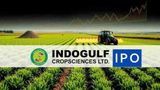 Indogulf Cropsciences IPO Opens Soon: Price Band Set At Rs 105-111 Per Share – Key Dates, Lot Size, & Detail