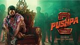 Pushpa 2 Hindi TV Premiere: Allu Arjun's Blockbuster Film Is Highest Grosser In India; Top 5 Movies Box