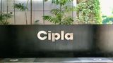 Cipla Q1 Results: Net Profit Rises 10% to Rs 1,298 Crore, Revenue Grows 4%; Strong Cash Position Reported
