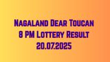 Nagaland Dear Toucan 8 PM Lottery Result Today 20.07.2025: Check Sunday's Rs. 1 Cr Lucky Draw Result Here