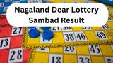 Nagaland Dear Lottery Results On 18-08-2025: 6PM Dear Blitzen, 8 PM Dear Finch Winners; 1PM Dwarka Result OUT