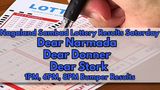 Nagaland Sambad Lottery Result On 16-08-2025 For Dear Narmada, Donner, Stork: Winners Of 1PM, 6PM, 8PM Draw