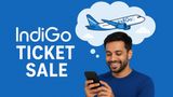 Jet, Set Go! IndiGo Offers Flight Tickets From Rs 1299 In Runaway Fest Sale; How To Book Before They Sell Out?