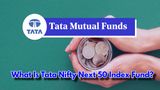 Mutual Fund: Meet Tata Nifty Next 50 Index Fund, A Scheme With 50 Stocks That Could Be Next Blue Chips!