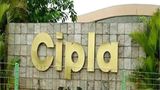 Diwali Muhurat Trading 2025: Cipla Hits 52-Week High Ahead of Q2 Results; Pharma Stock Up Nearly 2%