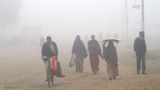 Bengaluru Weather to Turn Colder: IMD Issues Cold Wave Alert for Interior & Coastal Karnataka