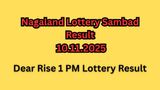 Nagaland Lottery Sambad Result Today 10 Nov Declared: Check Dear Rise 1 PM Lottery Result Rs.1 Crore Prize