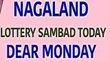 Nagaland Lottery Sambad Today: Dear Legend Day, 10-11-2025 6PM Jackpot Draw Result Declared; Winners List Here