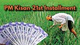 PM Kisan 21st Installment OUT: Eligible For Rs 2,000? How To Check Your Beneficiary List, Payment Status?