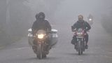 Bengaluru Weather Alert: Cold Wave Grips North Karnataka, Clear Skies, Misty Morning Expected in State Capital