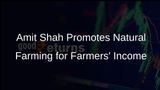 Chemical Fertiliser Use Linked to Health Issues; Amit Shah Advocates for Natural Farming to Increase Farmers' Income