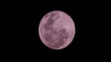 Full Moon in December: Why Is It Called Cold Moon? When Can You See It? Check Date, Timing, and Other Details