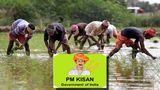National Farmers Day 2025: PM Kisan Samman Nidhi Alert! When Will You Get Next Rs 2,000 Payment In 2026?