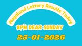 Nagaland Lottery Sambad Result Today: Dear Sunday 8 PM Weekly Draw List OUT: Check Rs. 1CR Winner