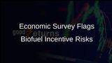 Economic Survey Warns of Risks from Biofuel Incentives on Cropping Patterns and Food Security