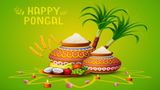 Happy Pongal 2026: Top Wishes, Greetings, Quotes & Messages In English & Tamil To Share With Family & Friends