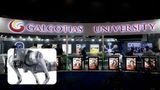 Galgotias University Vacates Stall at India AI Impact Summit 2026 After Chinese Robodog Display Controversy