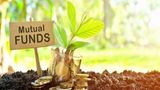 Multi-cap Mutual Funds in India Offer Diversified Equity Exposure Across Large, Mid and Small-Cap Stocks