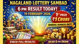 Nagaland Lottery Sambad 6 PM Result OUT Today 19-02-2026; Check Dear Lottery Rs. 1 Cr 1st Prize Winner