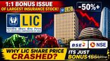 1:1 Bonus Issue Of Largest Insurance Stock: Why Did LIC Shares Crash By Over 50% On May 29? Should You Worry?