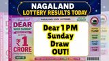 Nagaland State Lottery Result Today, May 10: Dear 1 PM Sunday Draw OUT! Check Rs. 1 Cr Winner & Claim Process
