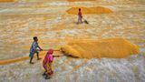 PM Kisan Samman Nidhi Scheme: When Will Farmers Receive PM Kisan 23rd Instalment? Here’s What We Know So Far