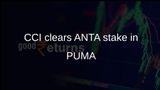 CCI approval for ANTA Sports to acquire 29.06% stake in PUMA SE via Ancat Holding