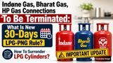Indane, BharatGas, HP Gas Connections To Be Terminated: What Is New 30-Days LPG-PNG Rule? How To Surrender LPG