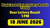 Nagaland Lottery Result Today 18 June DECLARED: Check Dear Morning 1 PM Winner of Rs. 1 Crore