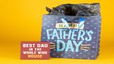 Happy Father's Day 2026 in India: Check Date, History, Significance; Celebration & Gift Ideas for 21 June