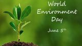 World Environment Day 2026: Top 50 Wishes, Slogans, Quotes, Messages, Captions & More to Share on June 5