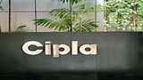 Cipla Q1 Results FY27: Net Profit Slumps 39% to Rs 789 Crore Despite Revenue Growth; Share Price Declines