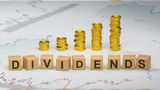 Rs 41.5 Dividends: 4 Stocks To Watch Out For Dividends On 9.7.2026; Titan, Sheela Foam, RPG Stocks In Focus