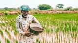When Will PM Kisan 24th Instalment Be Released? Know Tentative Date, Guide to Check Status