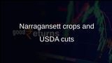 Narragansett heritage crops in Rhode Island face uncertainty as USDA programmes are scaled back