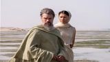 The Odyssey Box Office Collection: Christopher Nolan's Biggest Global Opening Ever; India Biz Nears Rs 40 Cr