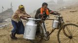 Maharashtra Milk Price Hike: Milk to Cost 10% More From August 11; Check Updated Prices