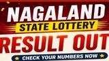 Nagaland Dear Lottery Result Today 7.8.2026 1 PM 6 PM 8 PM | Friday Lottery Sambad LIVE: Full Winners List