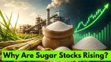 Kuch Meetha Ho Jaye? Sugar Stocks Rally As Dwarikesh, Dhampur Sugar, Renuka Sugars, Triveni Jump | Buy?