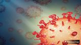 Delhi Swine Flu Cases Surge: What Is H1N1, How Does It Spread? Check Symptoms and Precautions