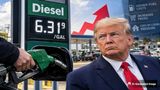 US Diesel Hits Record $6.31: Rising Cost of Living Puts Trump in Focus Ahead of Midterm Elections in November
