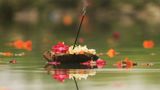 Pitru Paksha 2026: Check Complete Shradh Calendar, Sarva Pitru Amavasya Date, Tarpan, Pind Daan & All Rituals