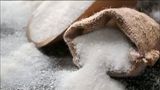 Davangere Sugar Stock Jumps 6%: What’s Driving This Sugar Stock Rally As Ethanol Expansion Plans Gather Pace?