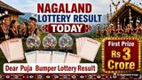 Nagaland Dear Puja Bumper Lottery Result Today 24.10.2026 Live At 6PM; Rs 3 Crore First Prize, Winners List